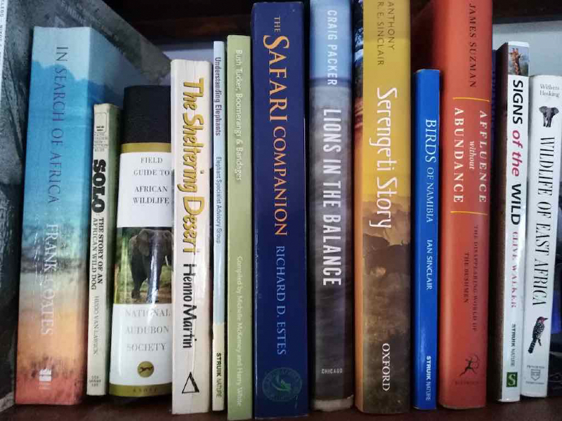 Bookshelf 1