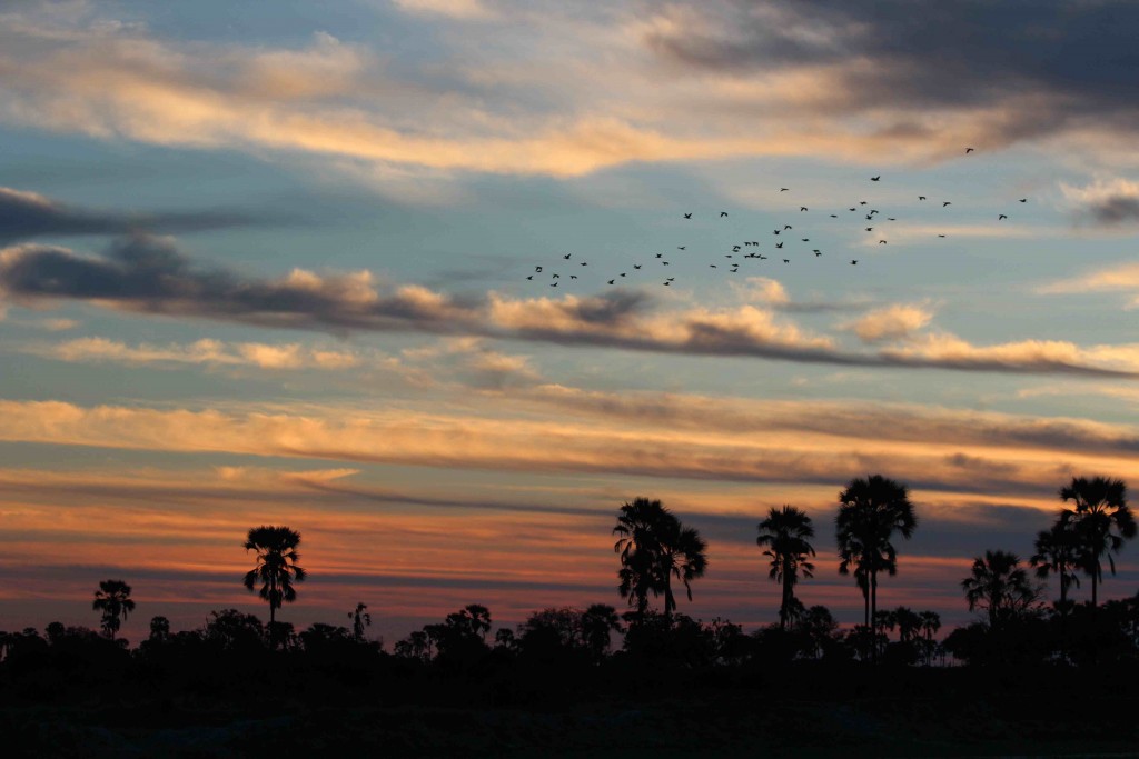 Okavango sunset, green season - cloudy skies make for great photos