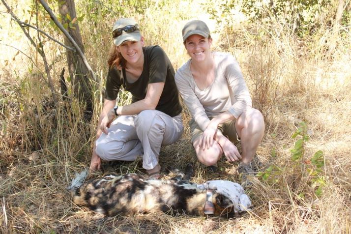 African wild dog researchers Dr Rosemary Groom & Jess Watermeyer